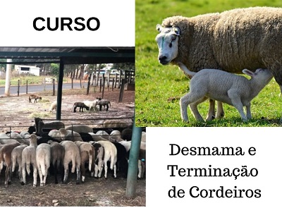 Curso ASPACO