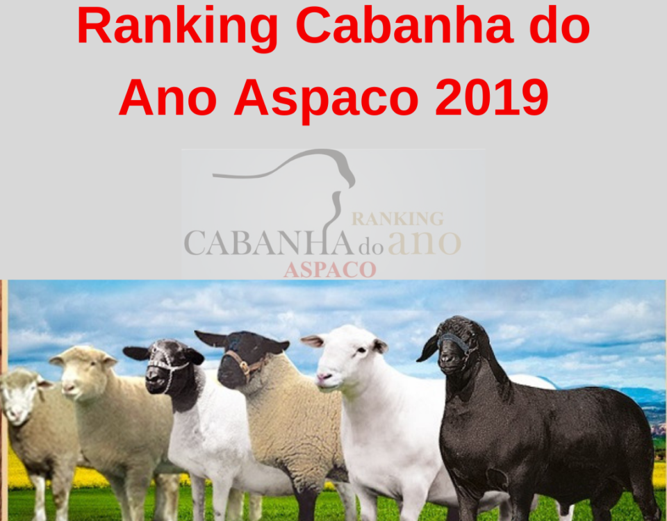 Ranking Cabanha do Ano Aspaco 2019