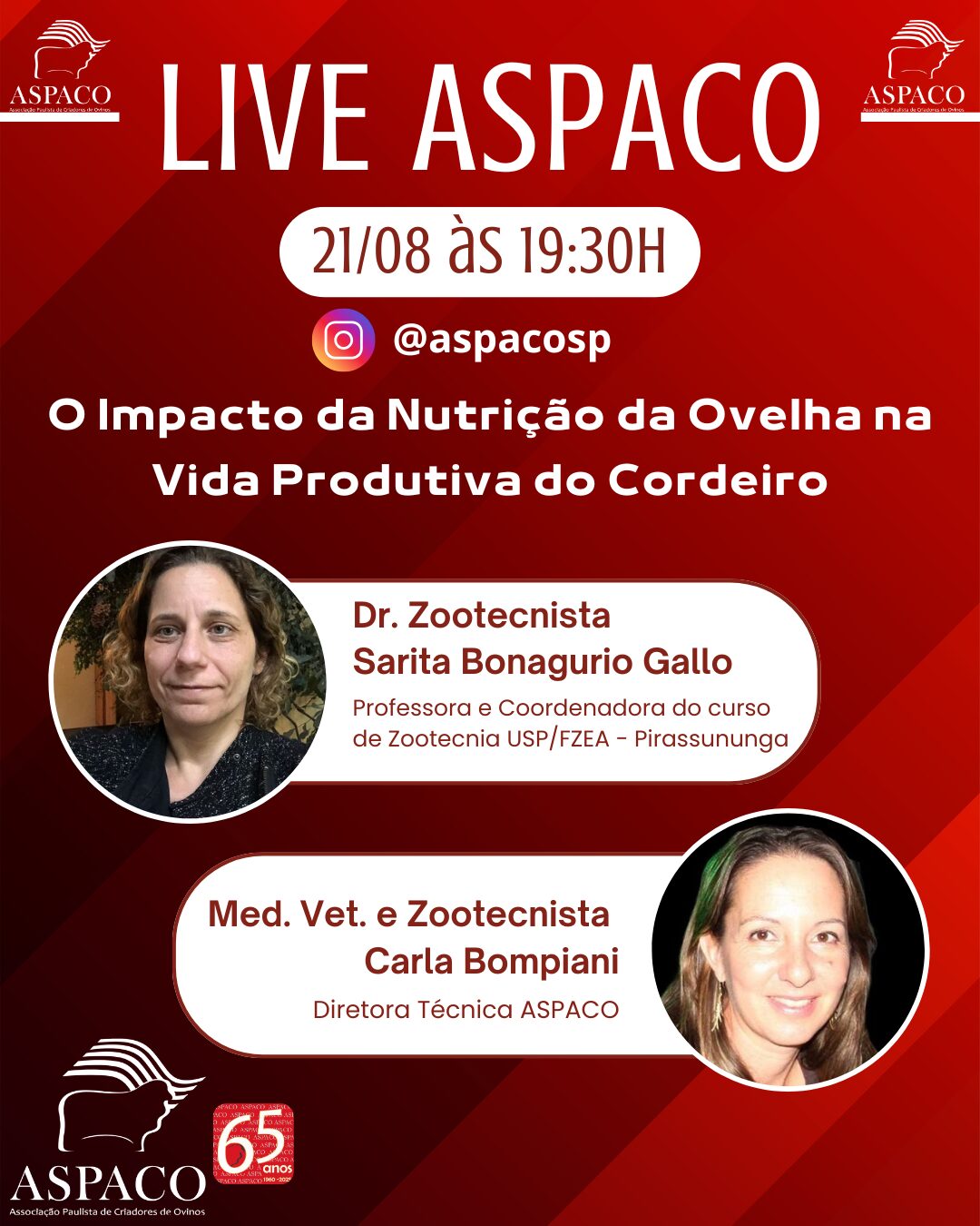 O Impacto da Nutrição da Ovelha na Vida Produtiva do Cordeiro