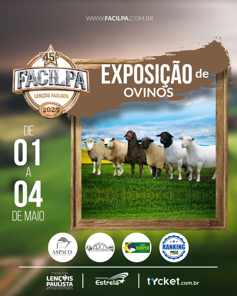 Exposição de Ovinos